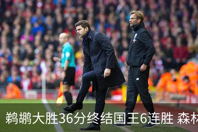 鹈鹕大胜36分终结国王6连胜 森林狼大胜尼克斯